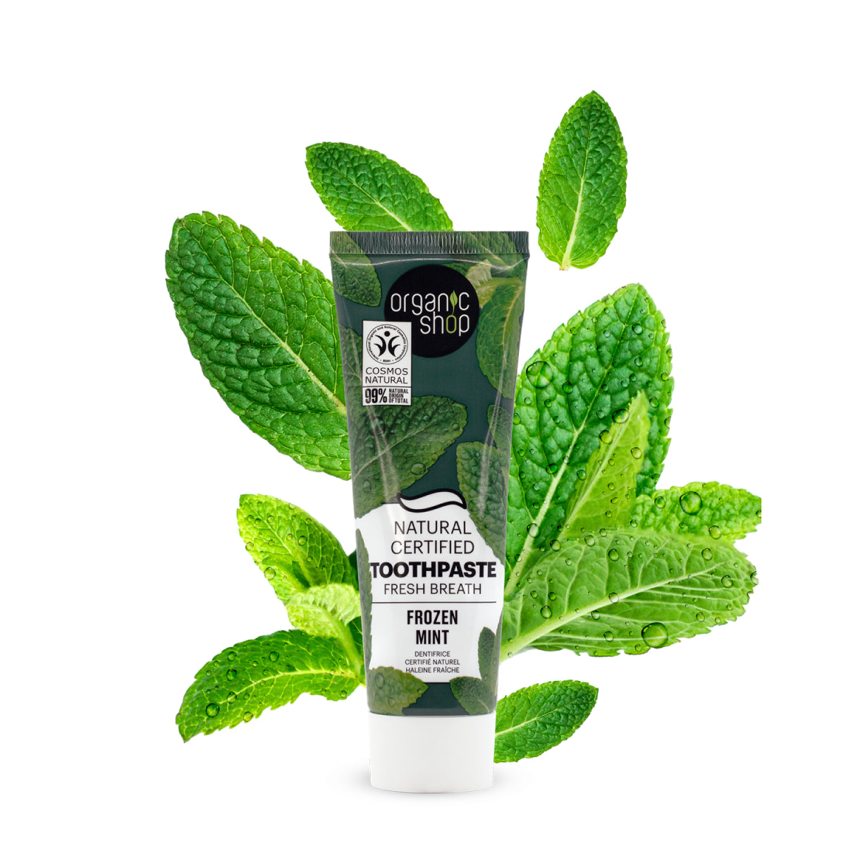 Natural Certified Toothpaste Fresh Breath Frozen Mint